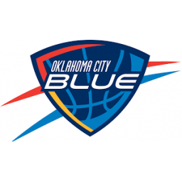 特拉華藍(lán)衫