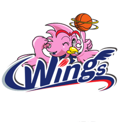 山梨縣蜂王女籃