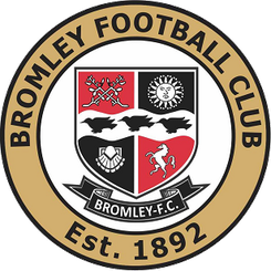 布里斯托爾流浪